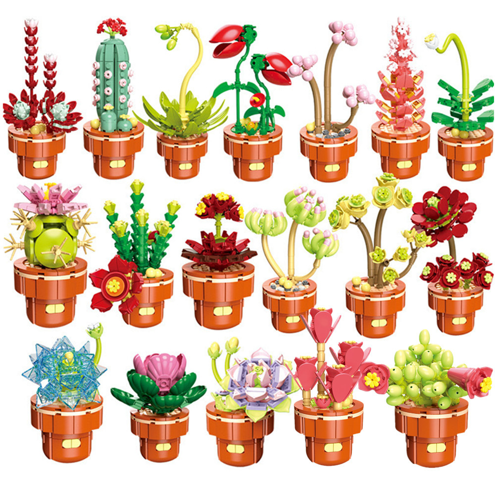 2024 City Creativity Succulent - Lego Set Creator review and price